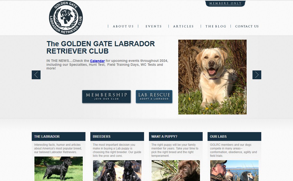 Welcome to the Golden Gate Labrador Retriever Club