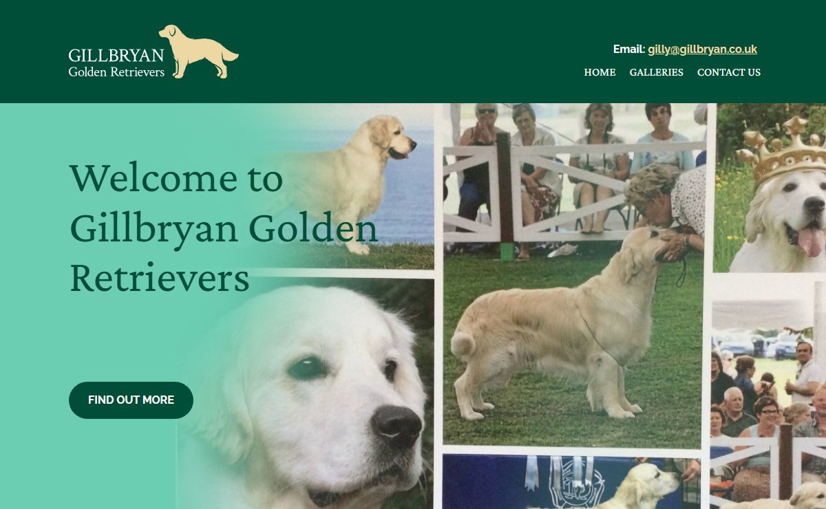 Gillbryan Golden Retrievers