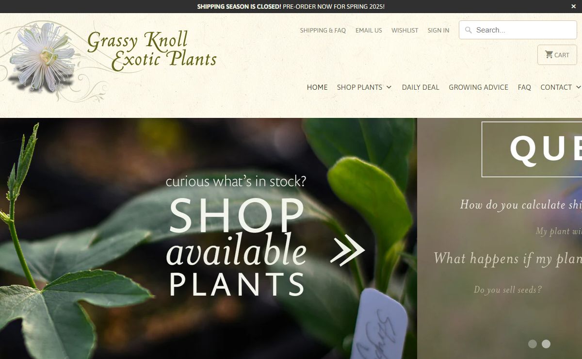 Grassy Knoll Exotic Plants