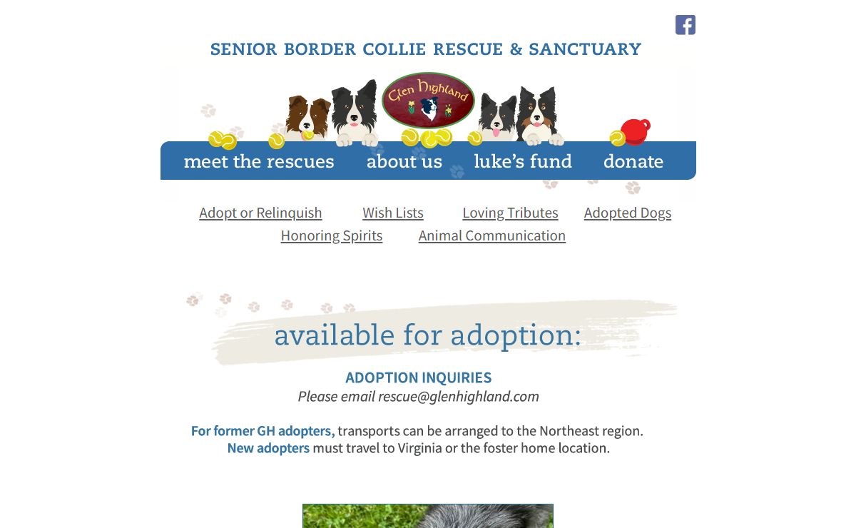Glen Highland | Senior Border Collie Rescue & Sanctuary | Gloucester, Virginia