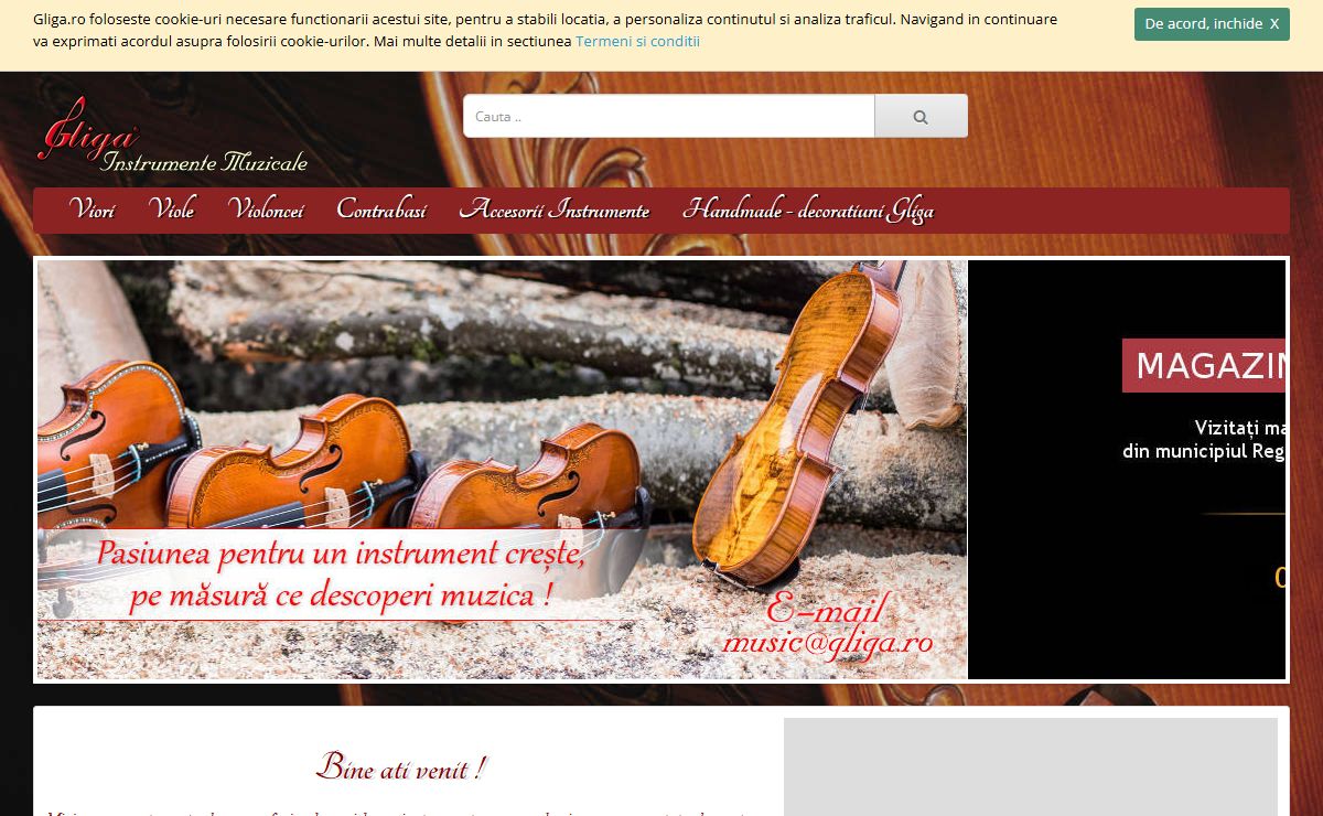Gliga - Instrumente Muzicale - Viori, viole, violoncei, contrabasi - Reghin