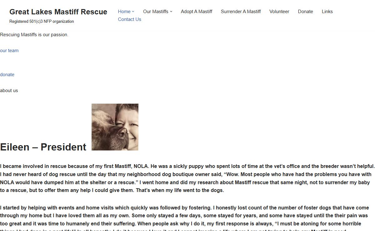Great Lakes Mastiff Rescue – Registered 501(c)3 NFP organization