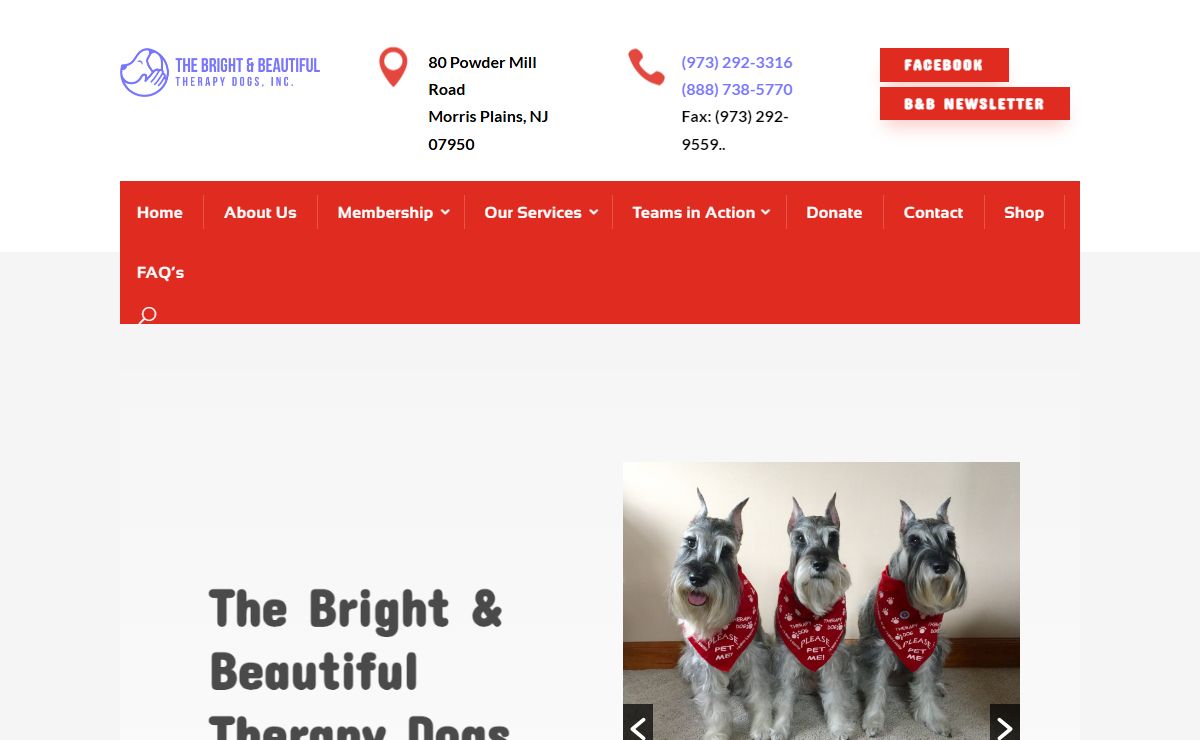 Bright & Beautiful Therapy Dogs - Therapy Dogs - Training & Certification