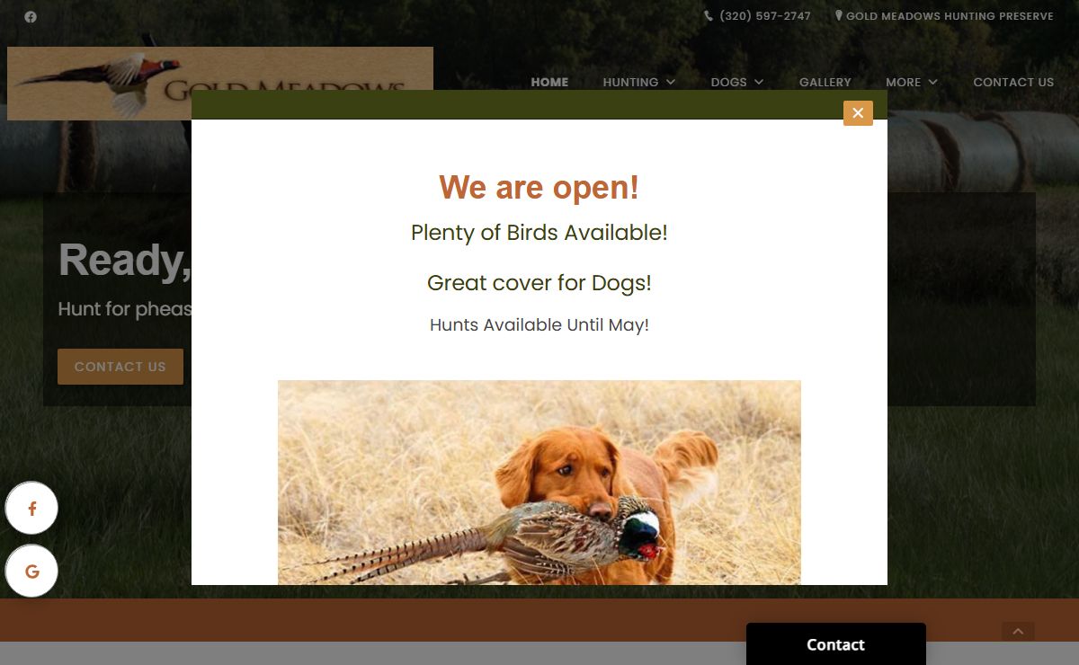 Pheasant Hunting Fields | Gold Meadows Hunting Preserve | Richmond, St. Cloud, Minneapolis, MN