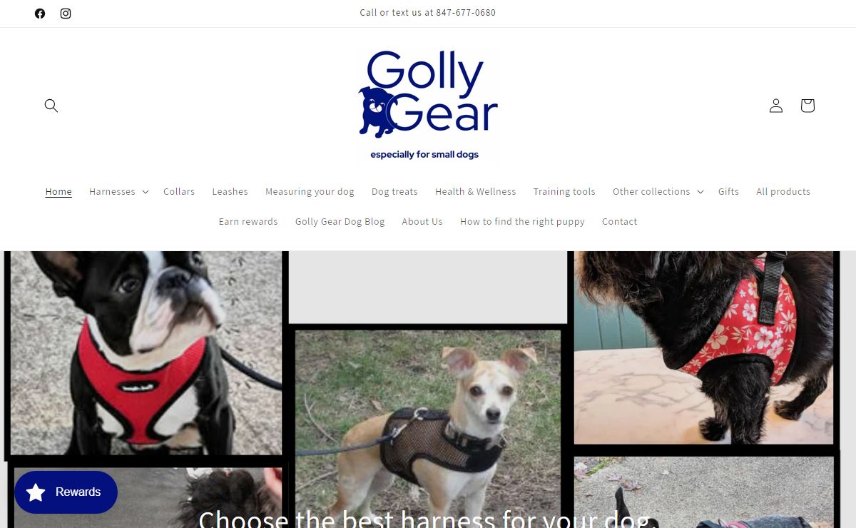 Golly Gear especially for small dogs