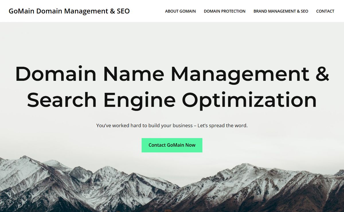 GoMain Domain Management & SEO – Promote and Protect