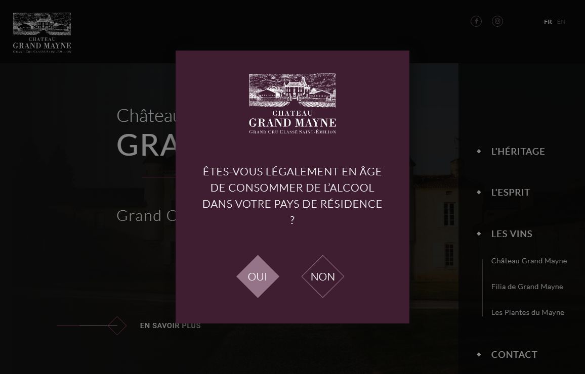 Découvrez le Château Grand Mayne - Grand Cru Classé de Saint-Émilion