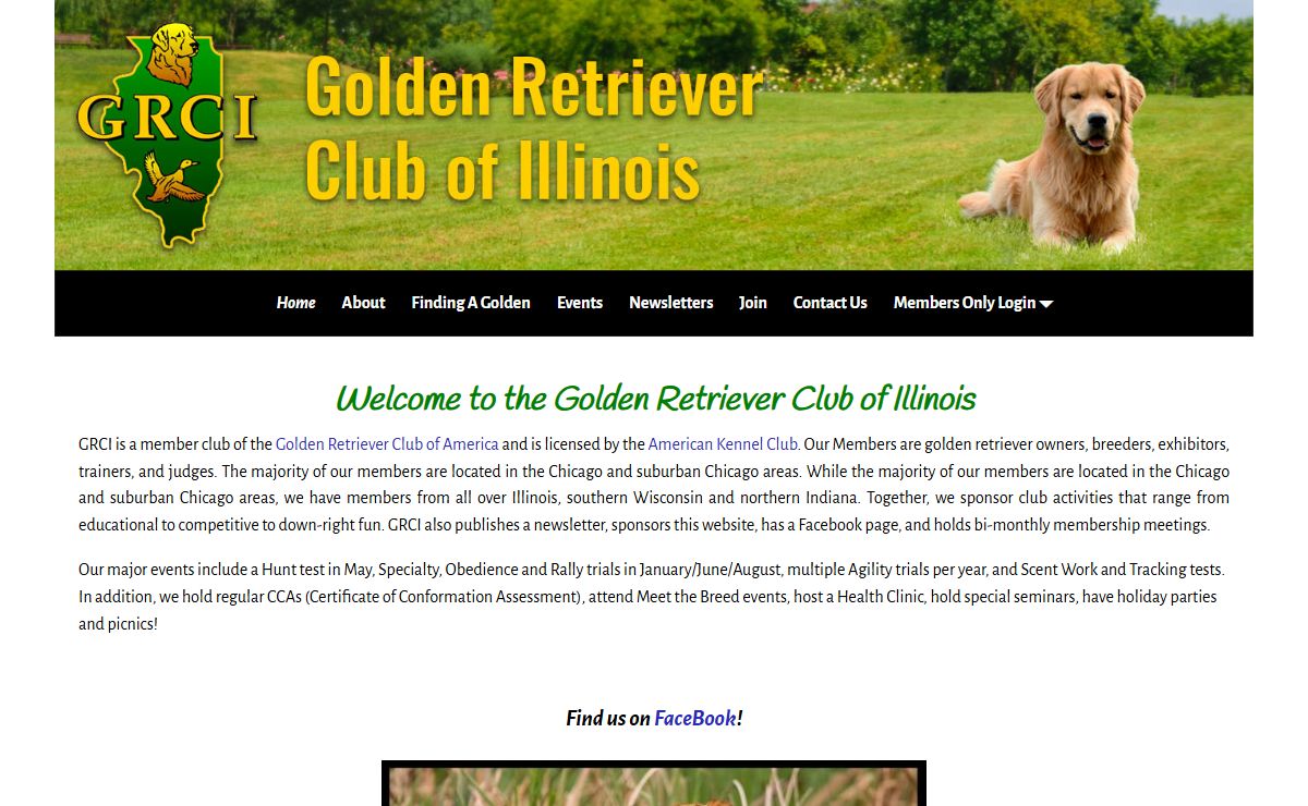Golden Retriever Club of Illinois – Golden Retrievers Illinois