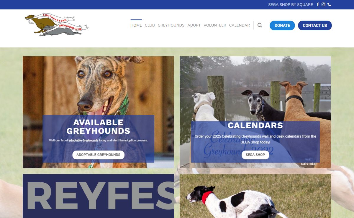Home | Southeastern Greyhound Club