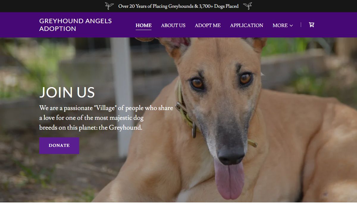Greyhound Angels Adoption - Home