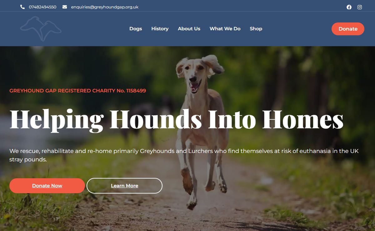 Home - Greyhound Gap