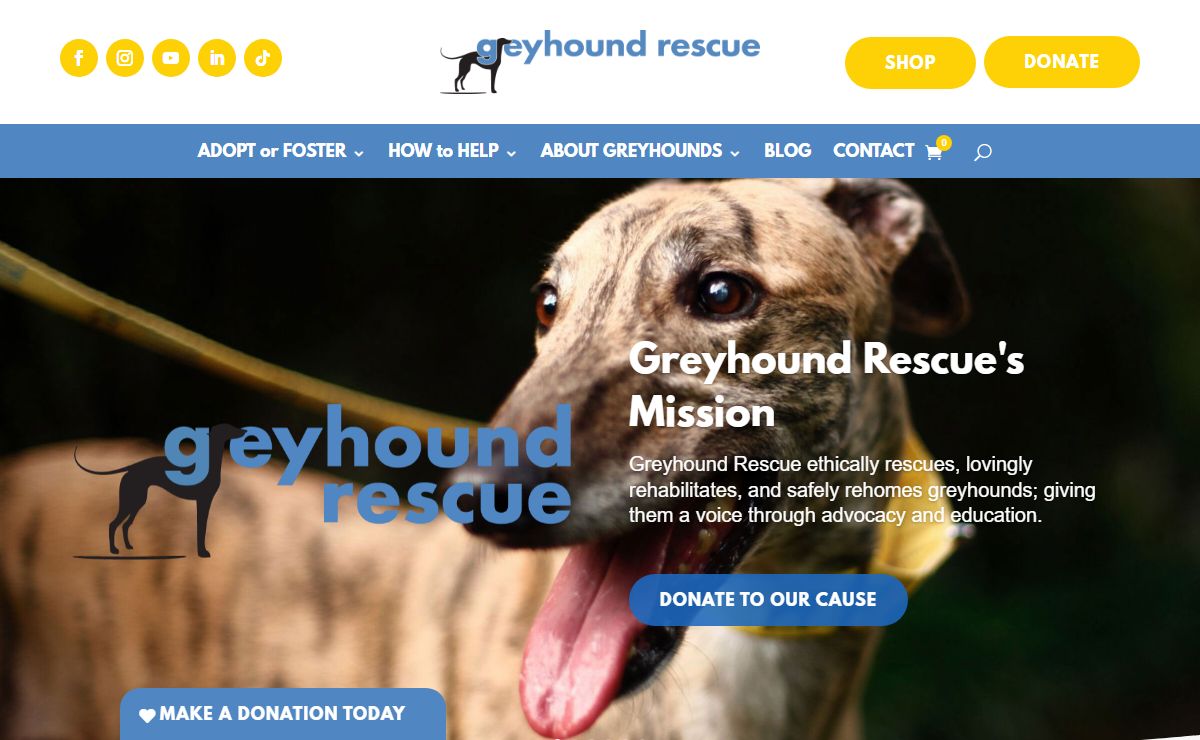 Greyhound Adoption Sydney • Greyhound Rescue
