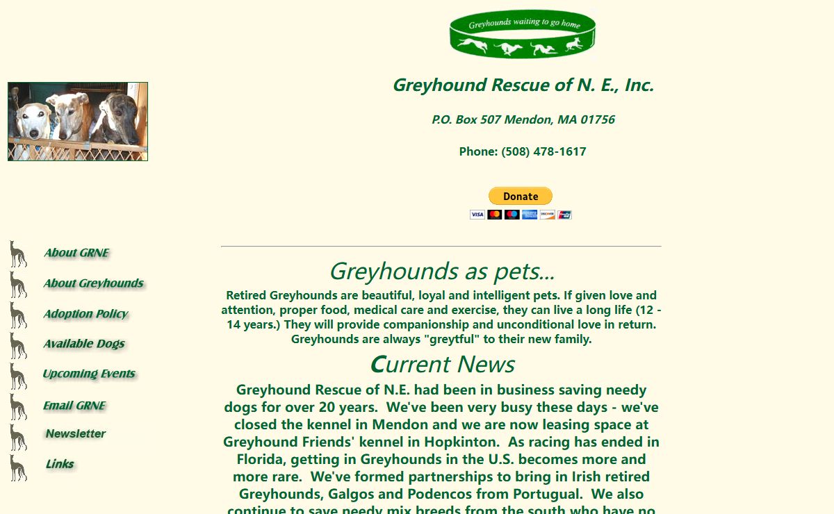 Greyhound Rescue of New England