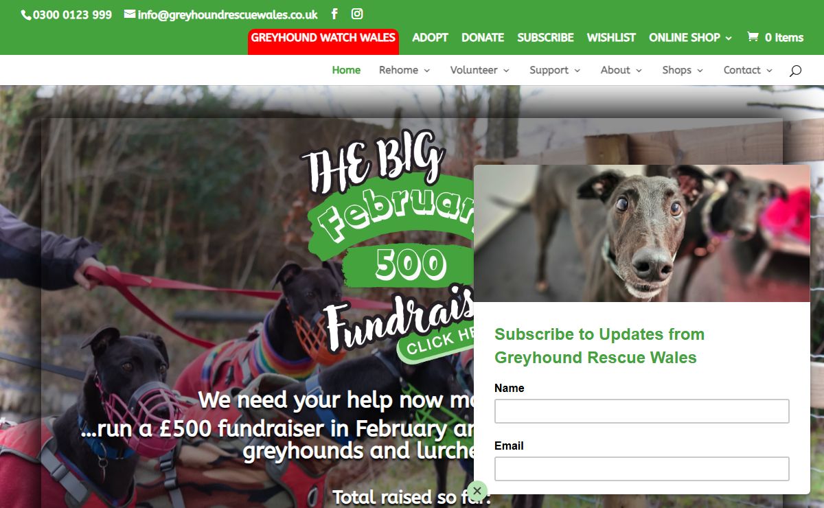 Home - Greyhound Rescue Wales