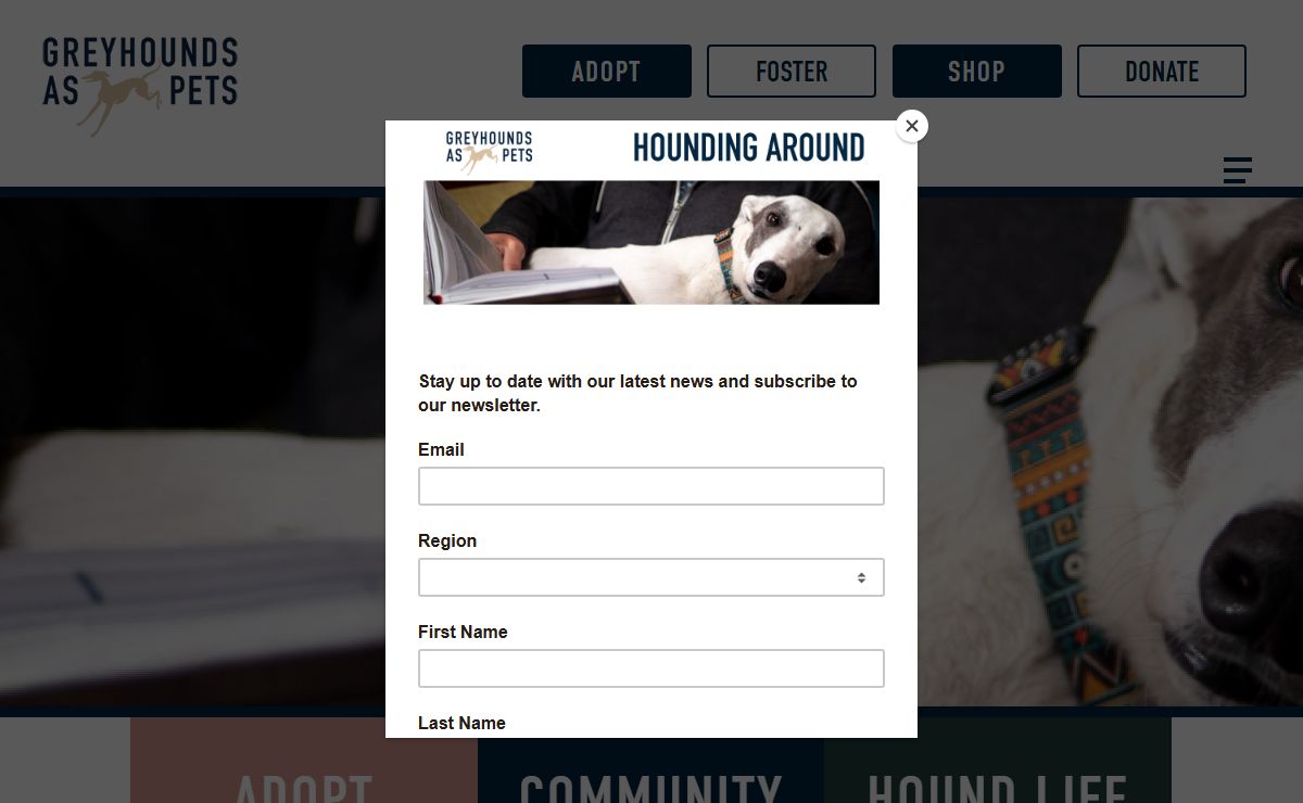Welcome | Greyhounds as Pets