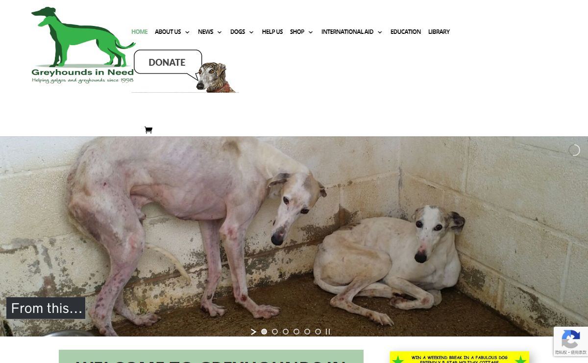 Greyhounds in Need