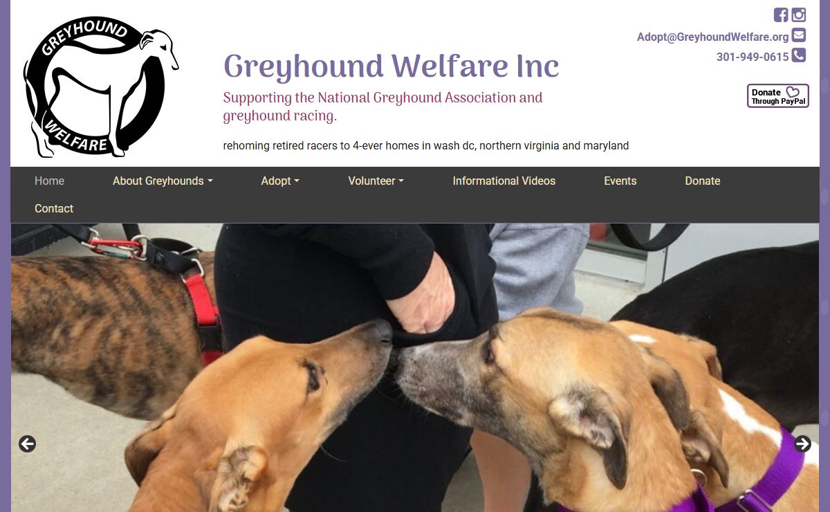 Home – Greyhound Welfare