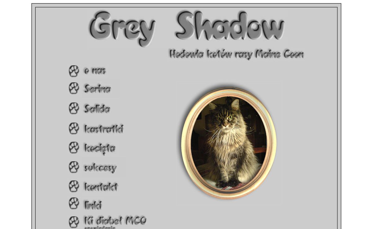 Grey Shadow - Hodowla Kotów rasy Maine Coon