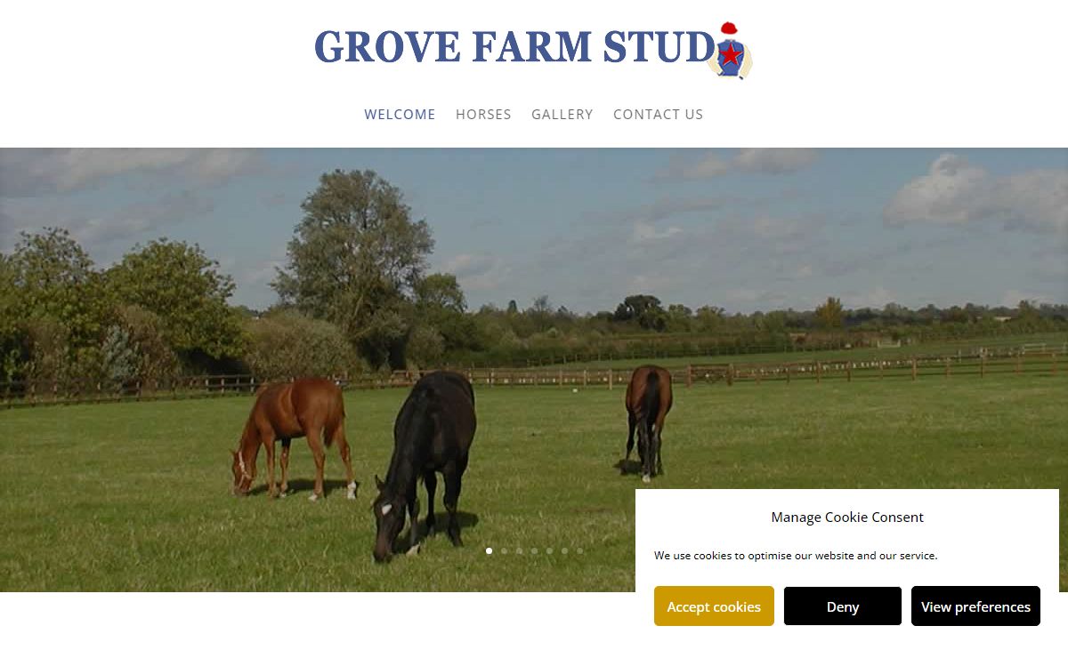 Established Thoroughbred Stud - Grove Farm Stud