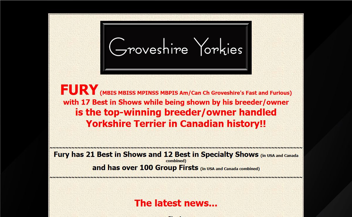 Groveshire Yorkshire Terriers--Breeders of Yorkies in Newfoundland, Canada