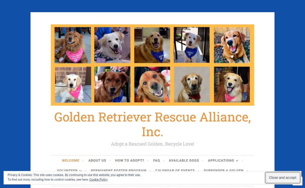 Golden Retriever Rescue Alliance, Inc. – Adopt a Rescued Golden. Recycle Love!