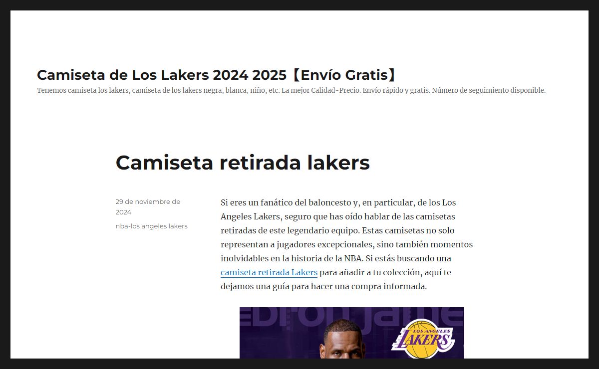 Camiseta de Los Lakers 2024 2025【Envío Gratis】