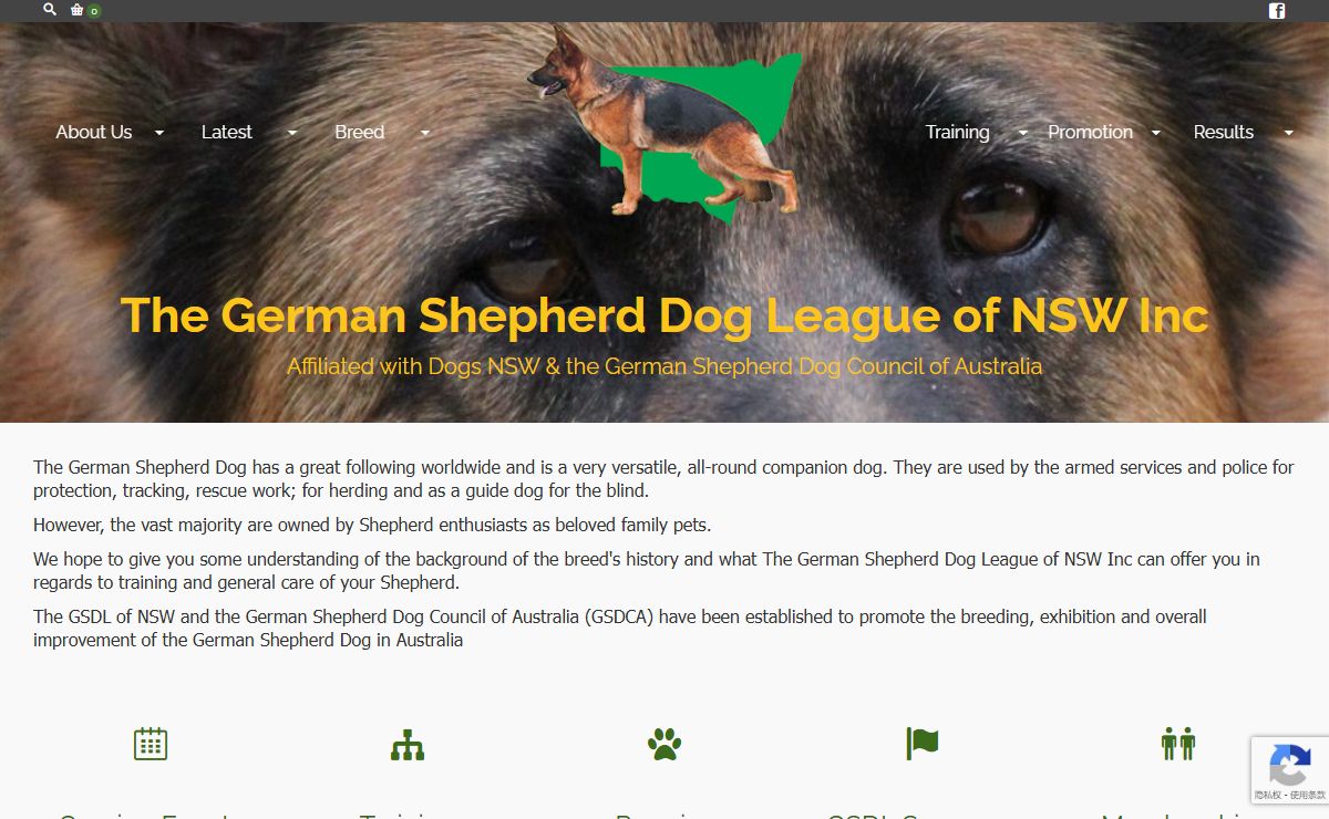 The German Shepherd Dog League of NSW Inc – German Shepherd Dogs in NSW