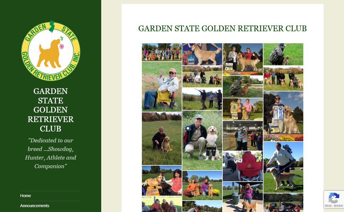 GARDEN STATE GOLDEN RETRIEVER CLUB – "Dedicated to our breed …Showdog, Hunter, Athlete and Companion"