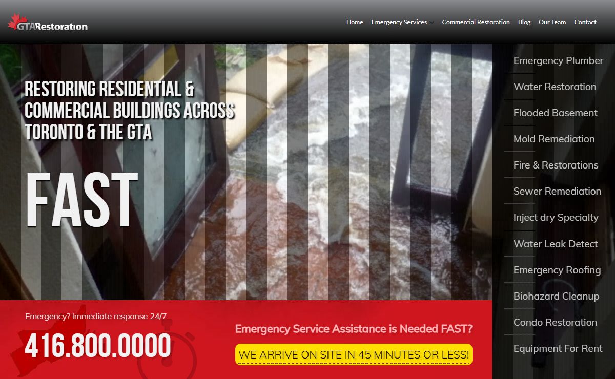 Water Damage Toronto Mold Removal By Experts | GTA Restoration