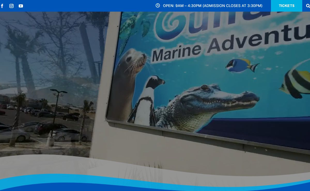 Home - Gulfarium Marine Adventure Park
