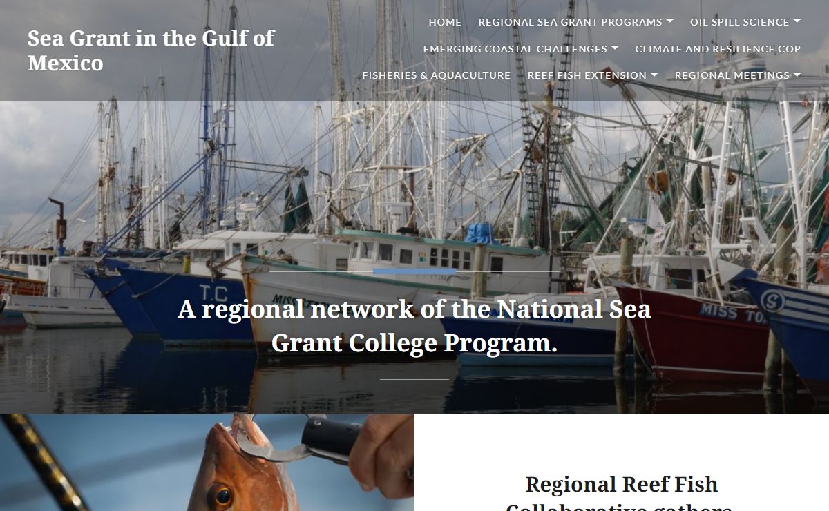 Sea Grant in the Gulf of Mexico – A regional network of the National Sea Grant College Program.