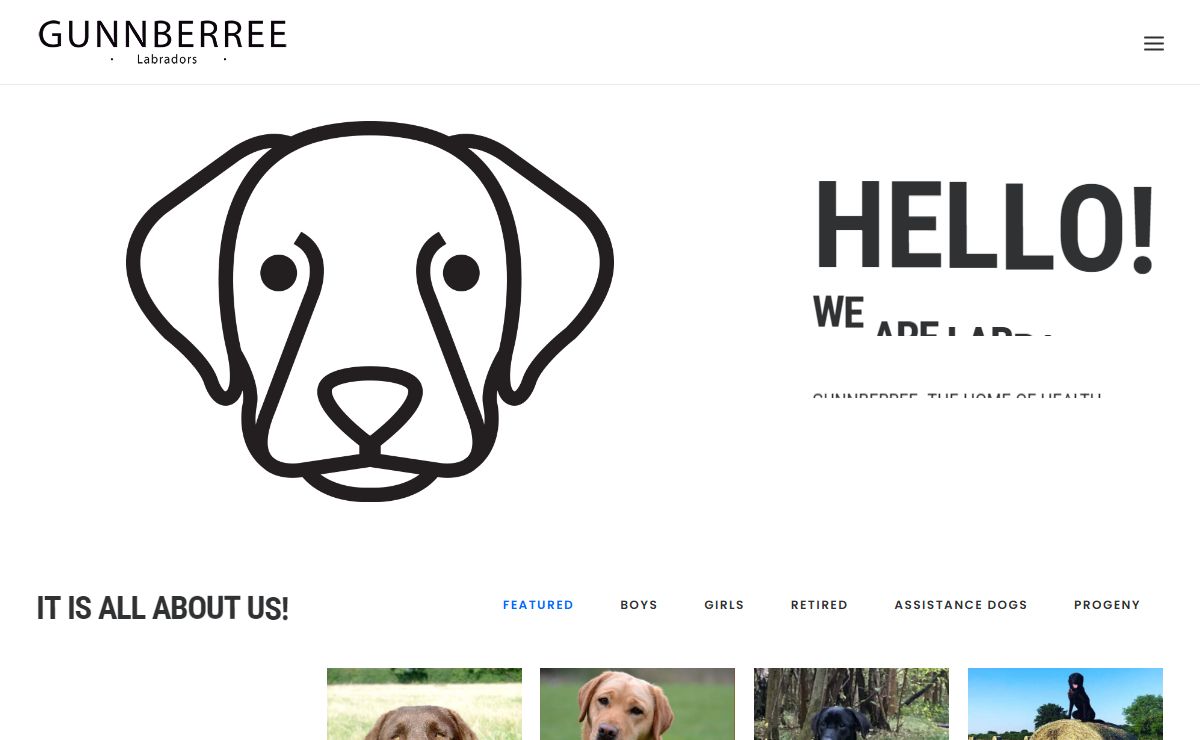 GunnBerree Home - Gunnberree Labradors