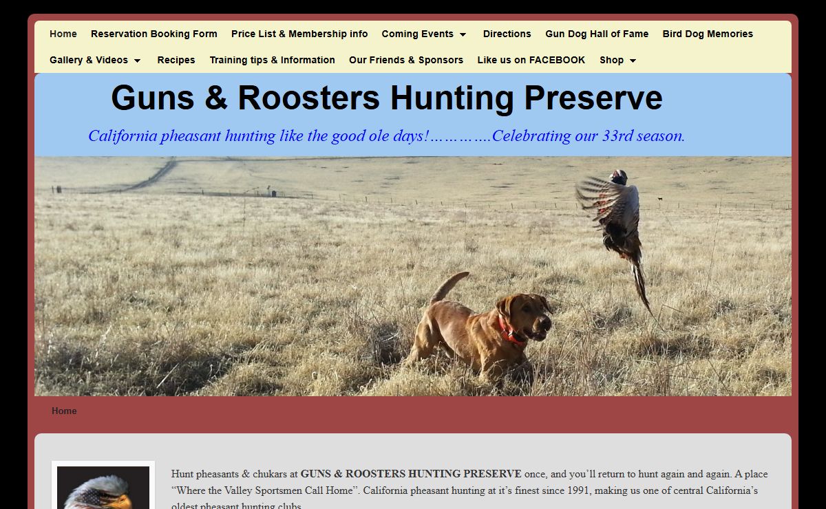 Guns & Roosters Hunting Preserve | California pheasant hunting like the good ole days!………….Celebrating our 33rd season.