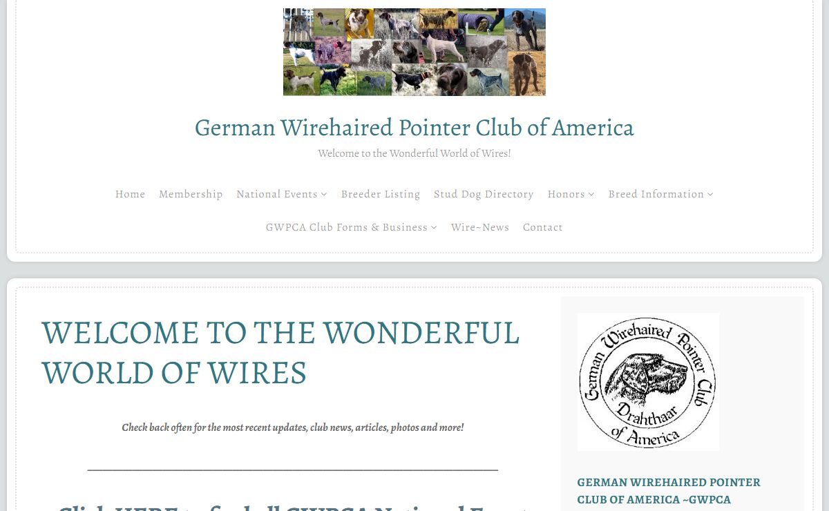 German Wirehaired Pointer Club of America – Welcome to the Wonderful World of Wires!