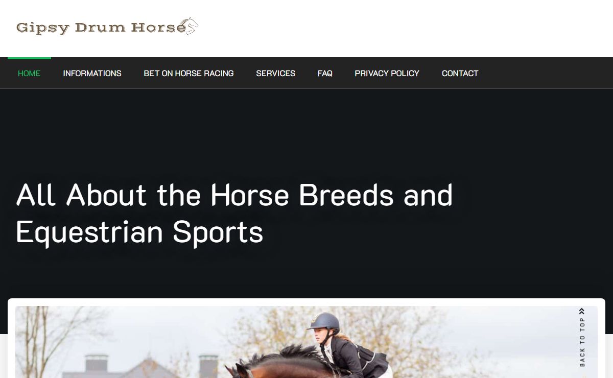 Gypsy Drum Vanner Horses | Old Mill Farm