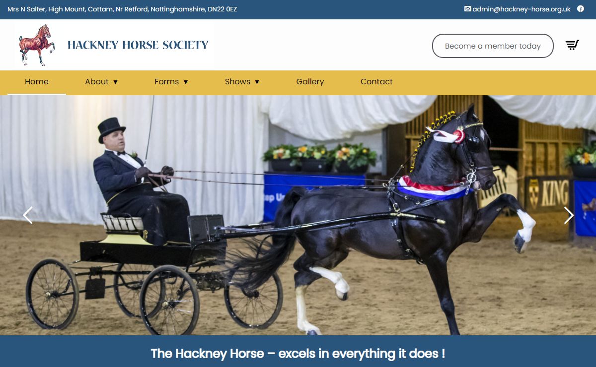 Hackney Horse Society in Essex