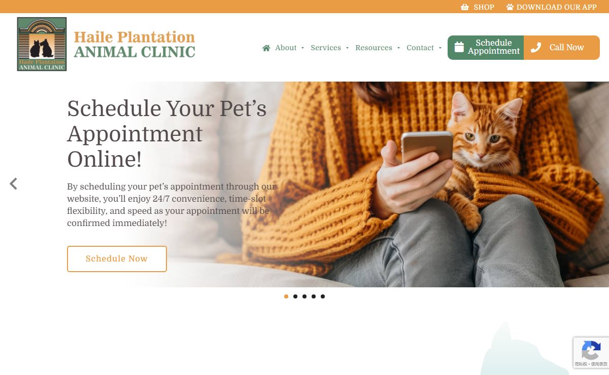 Gainesville Veterinarian | Haile Plantation Animal Clinic