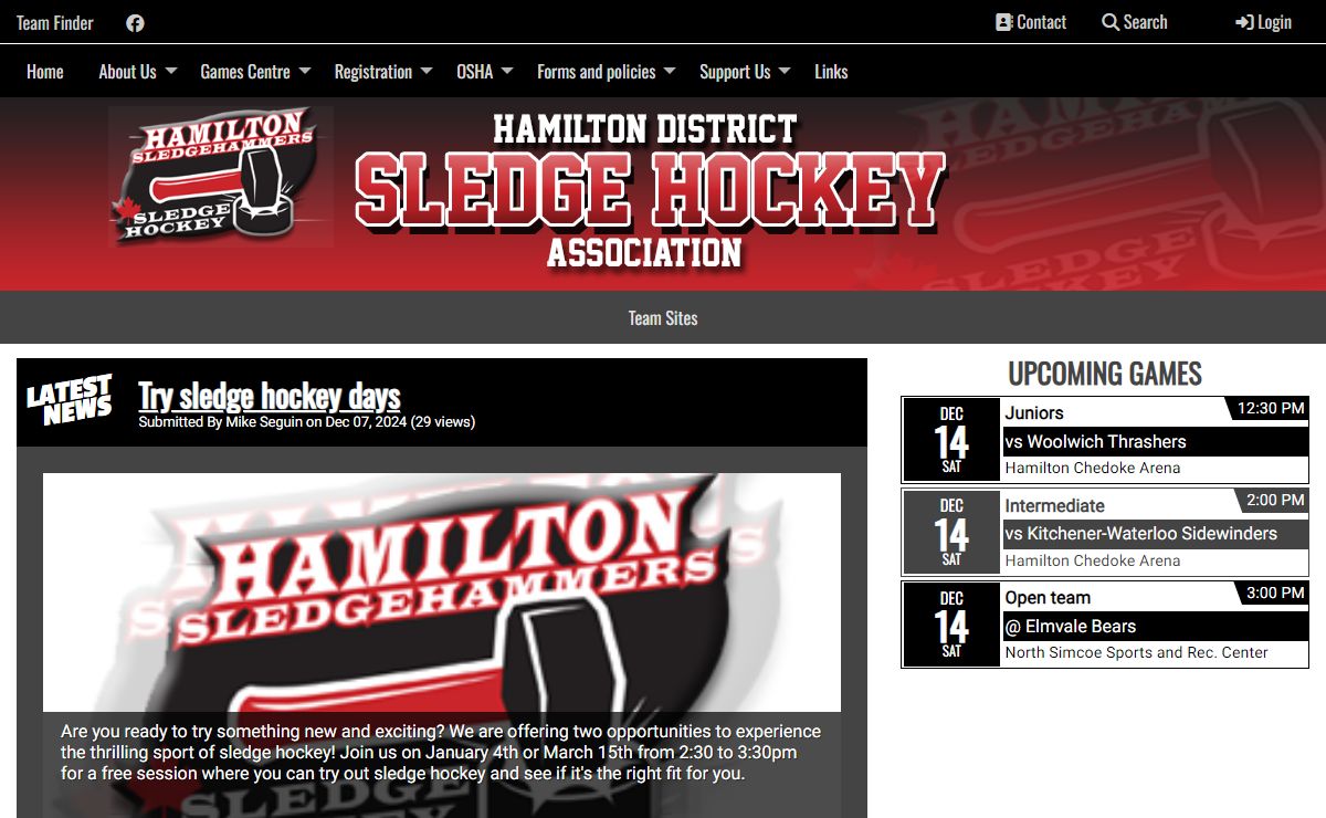 Hamilton Sledgehammers