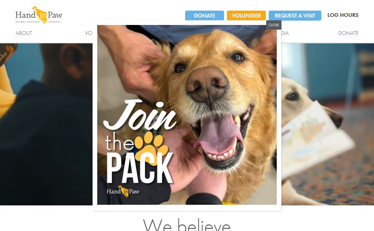 Hand in Paw » Animal-Assisted Therapy Nonprofit