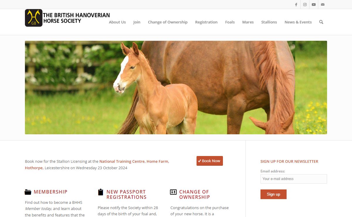 hanoverian-gb.org.uk – The British Hanoverian Horse Society