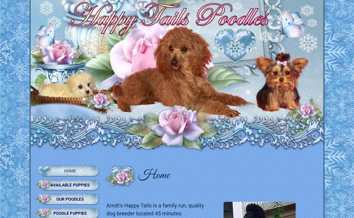 Arndt's Happy Tails Poodles PA - Poodle Puppies for Sale