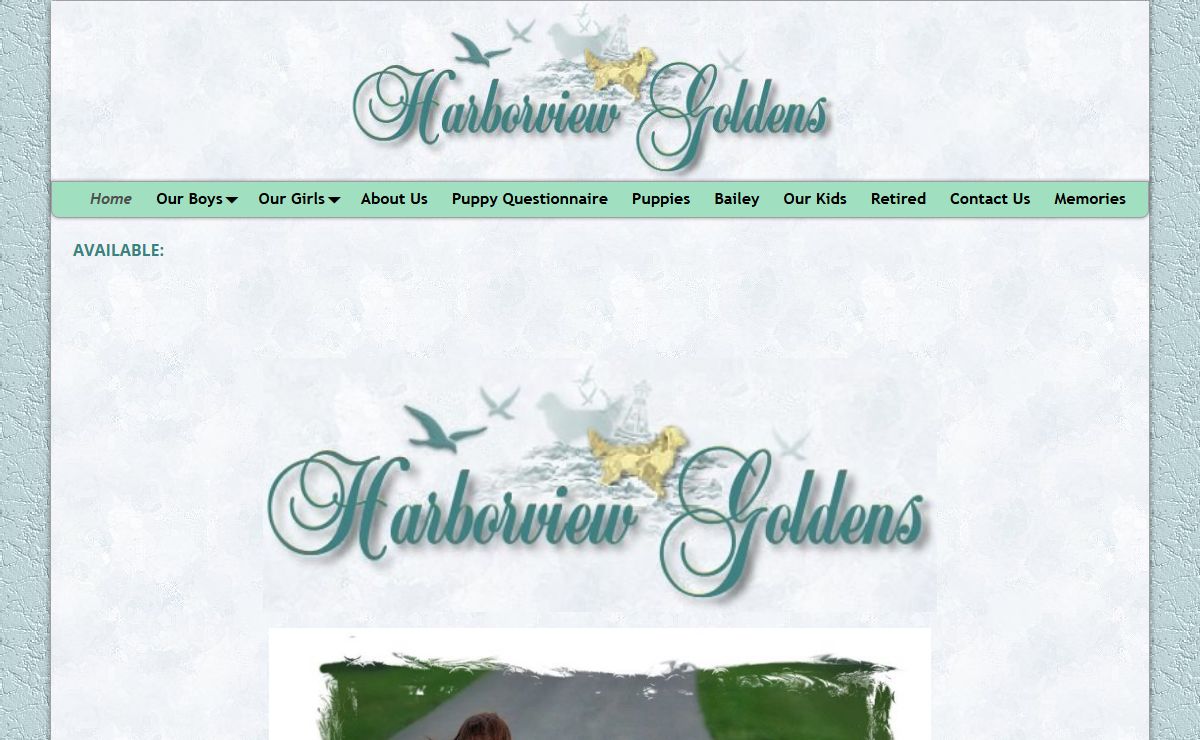 Harborview Golden Retrievers Erie PA – Golden Retrievers, Puppies, Breeders, PA