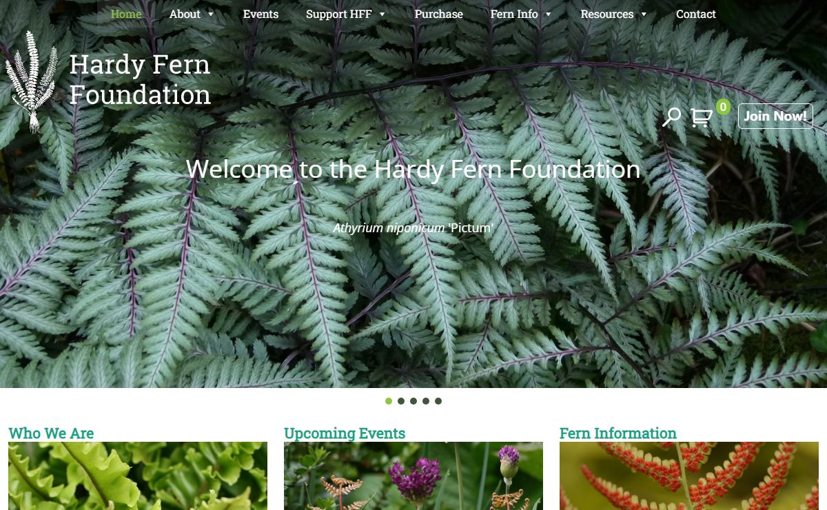 Hardy Fern Foundation | Fern Collection and Study Garden | Federal Way, WA