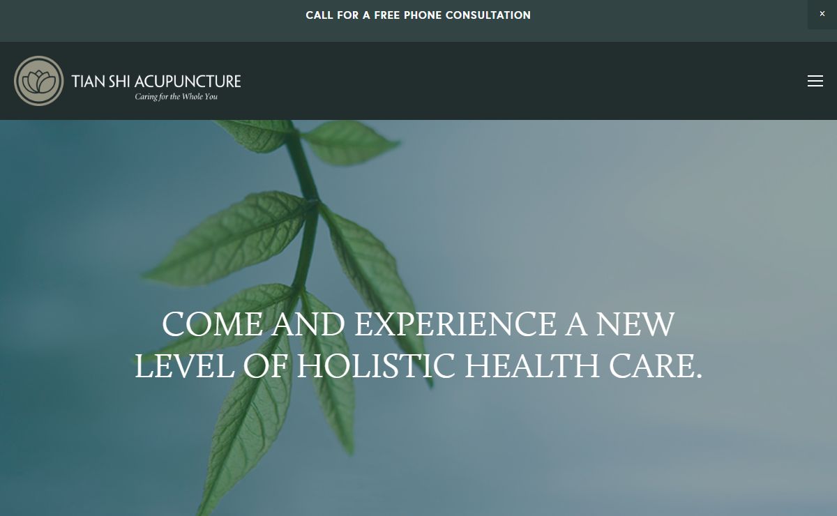 Tian Shi Acupuncture