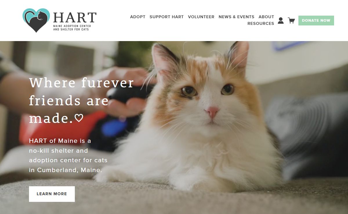 HART of Maine - Adoption Center & Shelter for Cats