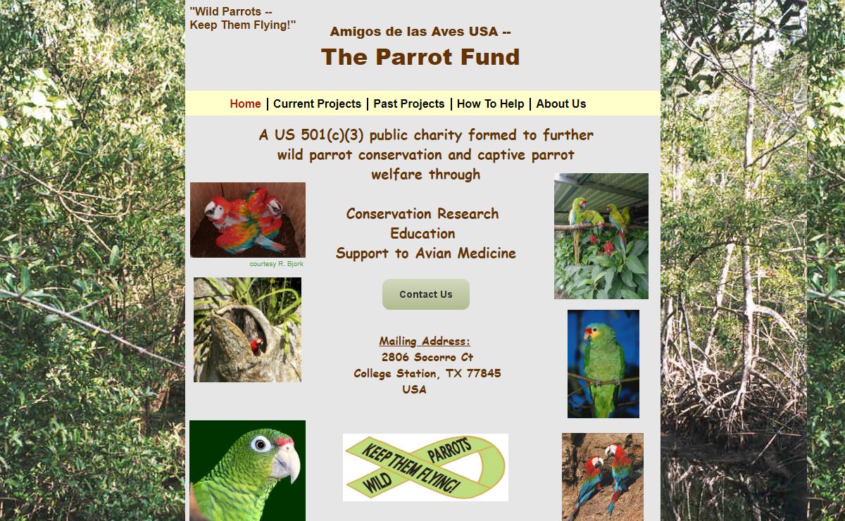 The Parrot Fund (Amigos de las Aves USA Parrot Conservation and Research Fund: www).Amigosdelasaves.org or www.parrotfund.org
