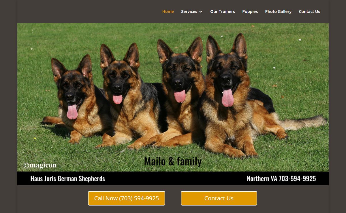 Best German Shepherd Breeder & Training in Nokesville, VA