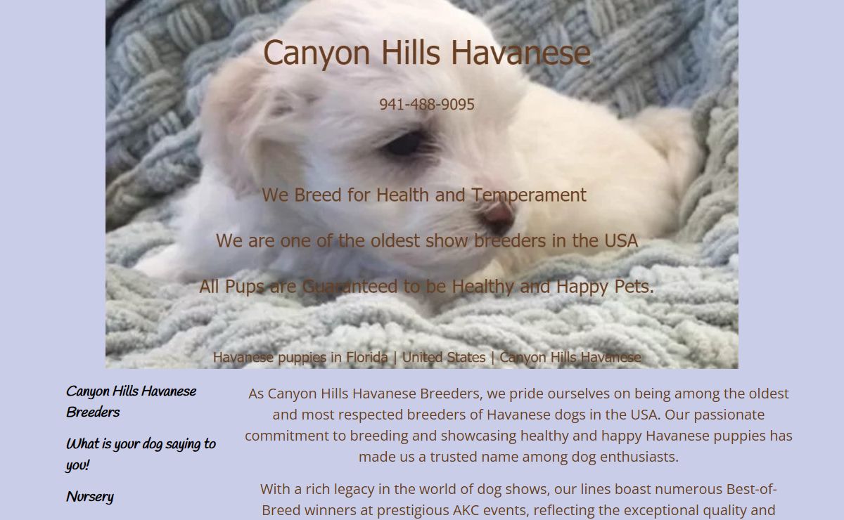 Canyon Hills Havanese Breeders - Canyon Hills Havanese Canyon Hills Havanese %