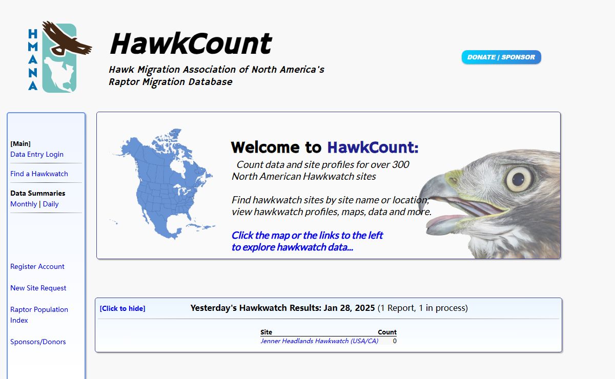 HawkCount