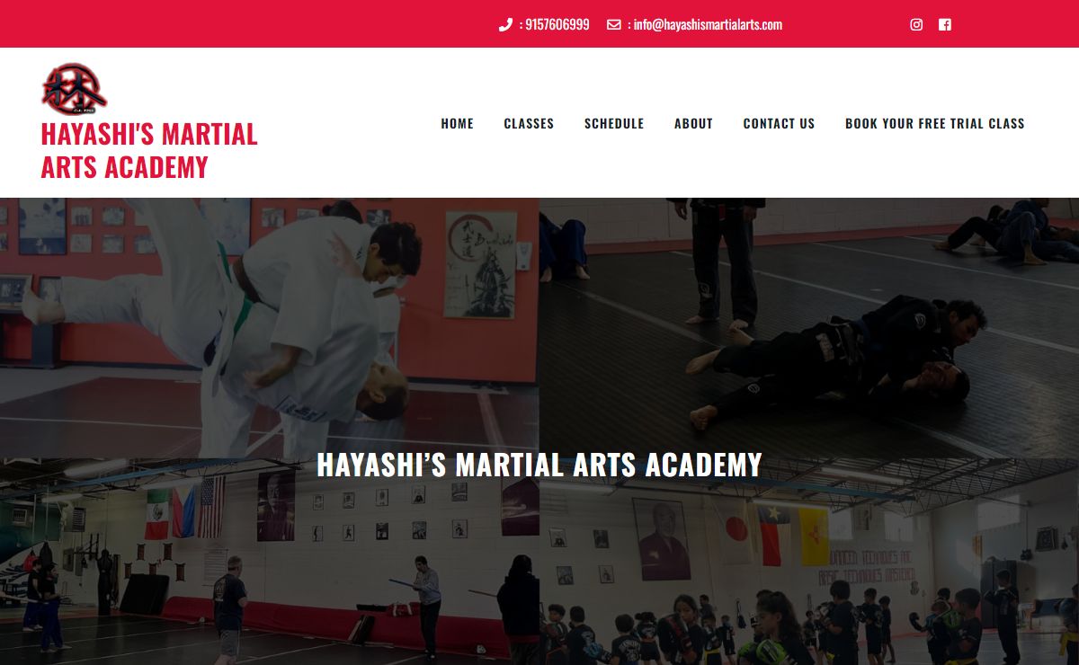 Hayashi’s Martial Arts Academy - Hayashi's Martial Arts Academy